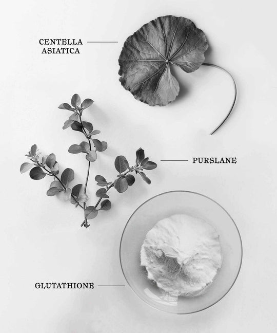 Glow Guard, Sunscreen SPF50+, Melitta, Glutathione, Ayurveda Store NZ