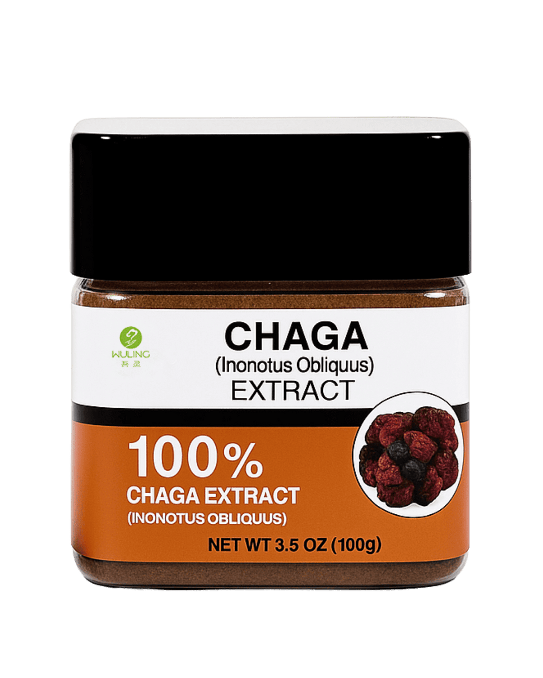 Chaga Extract, Ayurveda Store NZ