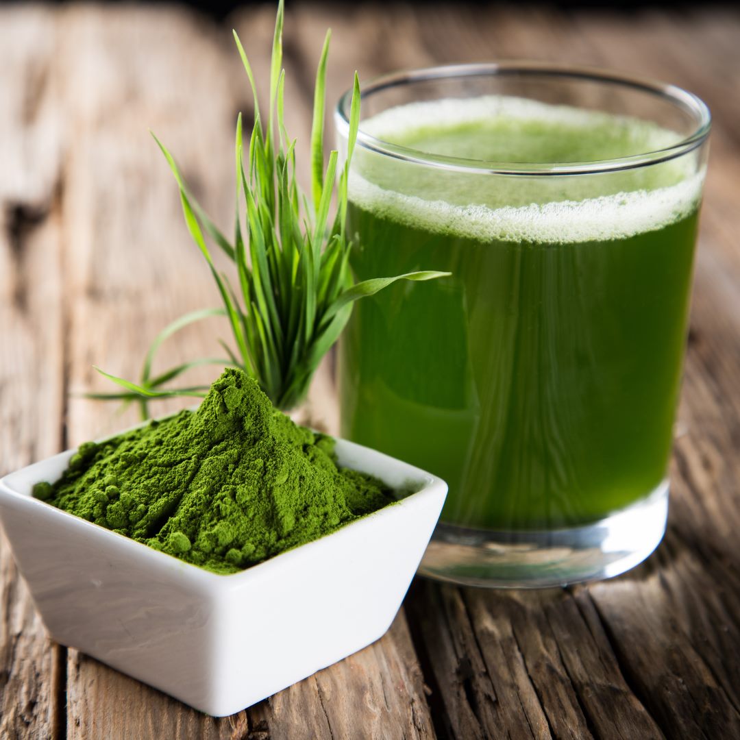 Wheatgrass Powder, Minature, Ayurveda Store NZ