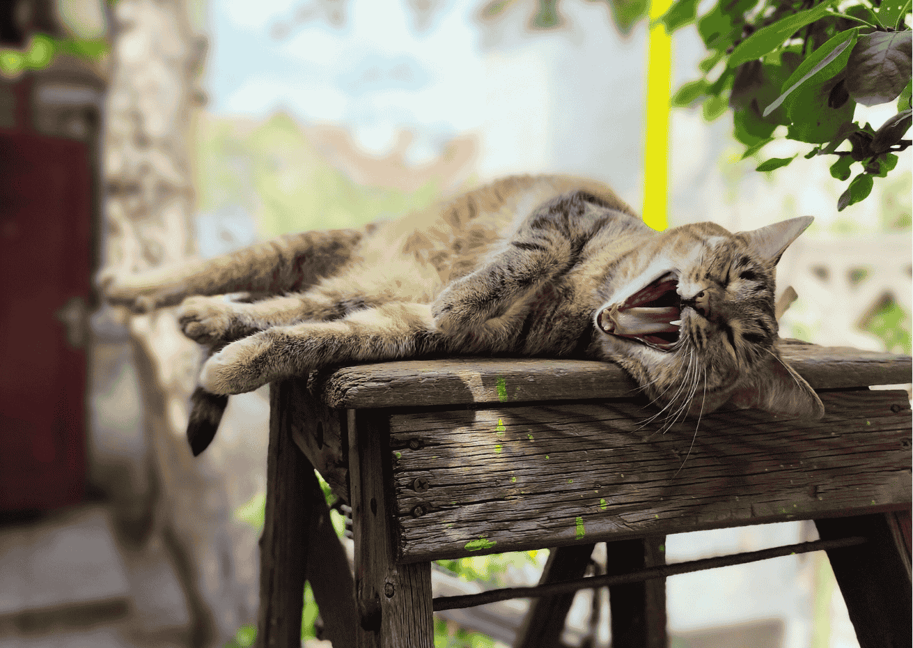 Why You Crash at 3pm (And What to Do About It)