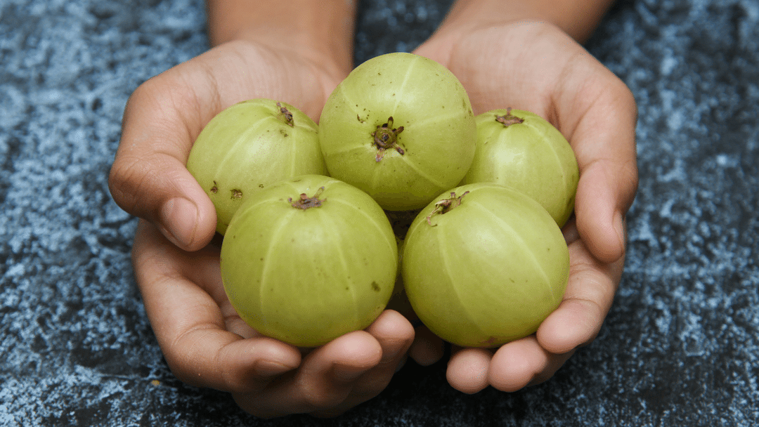 Amla - The Powerhouse For Protection