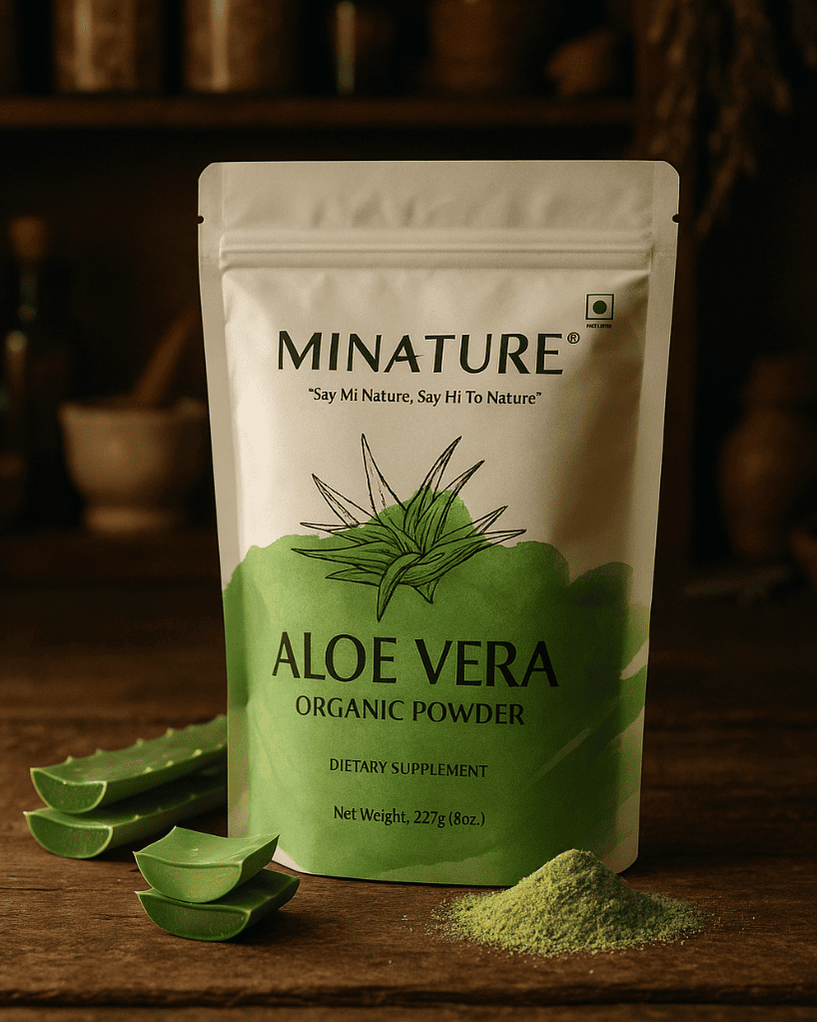 Aloe Vera, Minature, Ayurveda Store NZ