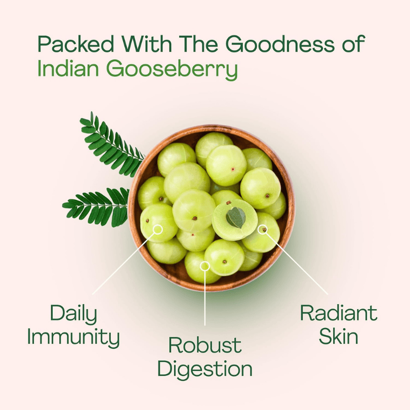 Just Jaivik, Amla Capsules, Ayurveda Store NZ