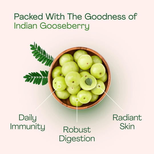 Just Jaivik, Amla Capsules, Ayurveda Store NZ