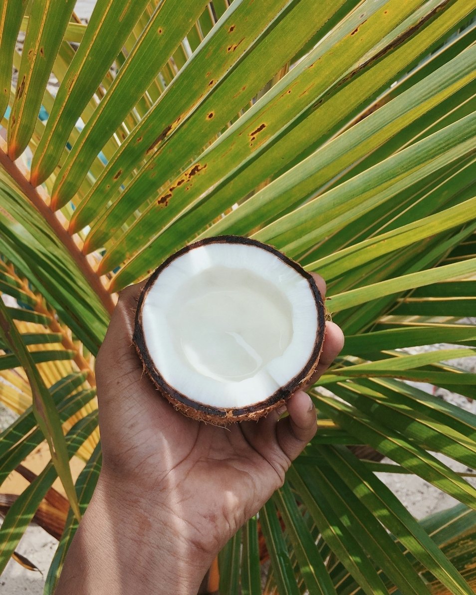 Organic Virgin Coconut Oil 100ml