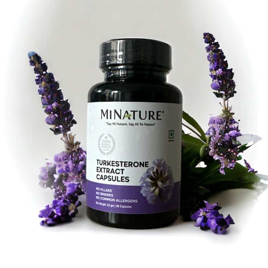 Turkesterone Extract Capsules, Minature, Ayurveda Store NZ