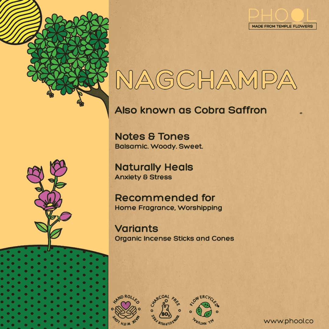 Nagchampa, Phool, Incense Sticks, Ayurveda Store NZ