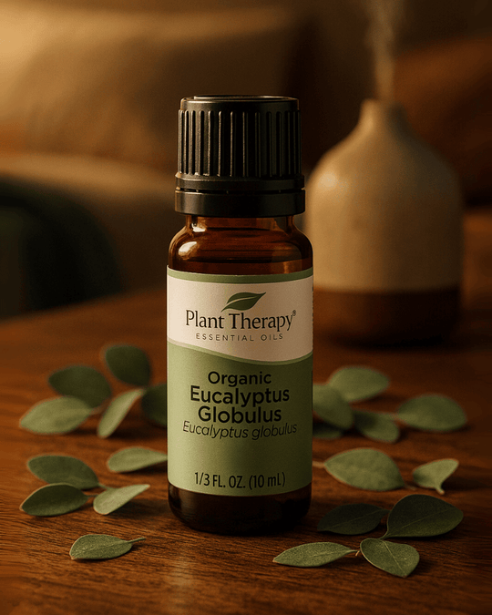 Organic Eucalyptus Globulus Essential Oil, Plant Therapy, Ayurveda Store NZ