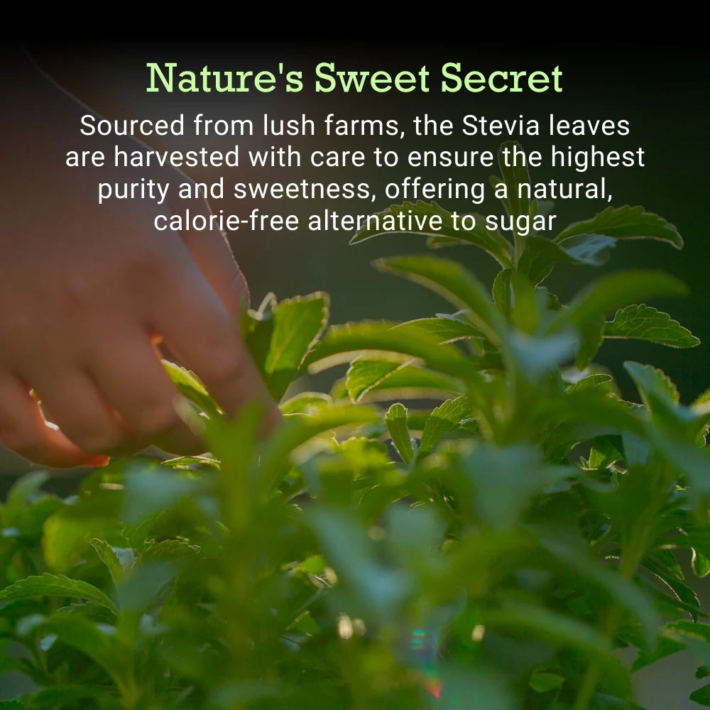 Stevia Drops (Healthy Sugar Alternative) | 20ml