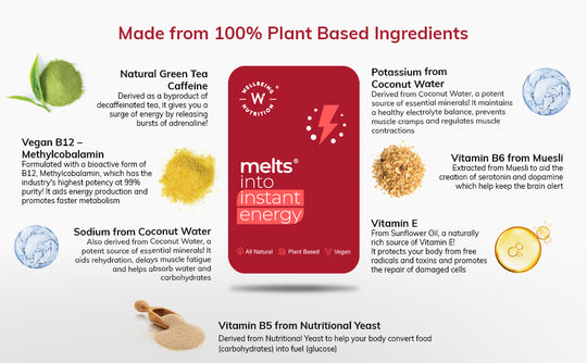 Melts® Instant Energy